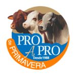 Pro-a-Pro-de-Primavera
