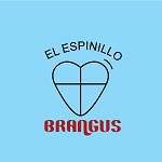 EL ESPINILLO - brangus_page-0001 - copia