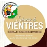Camara de Cabañas Santafesinas de Ganado