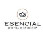 Esencial