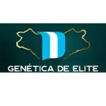 Genetica de Elite