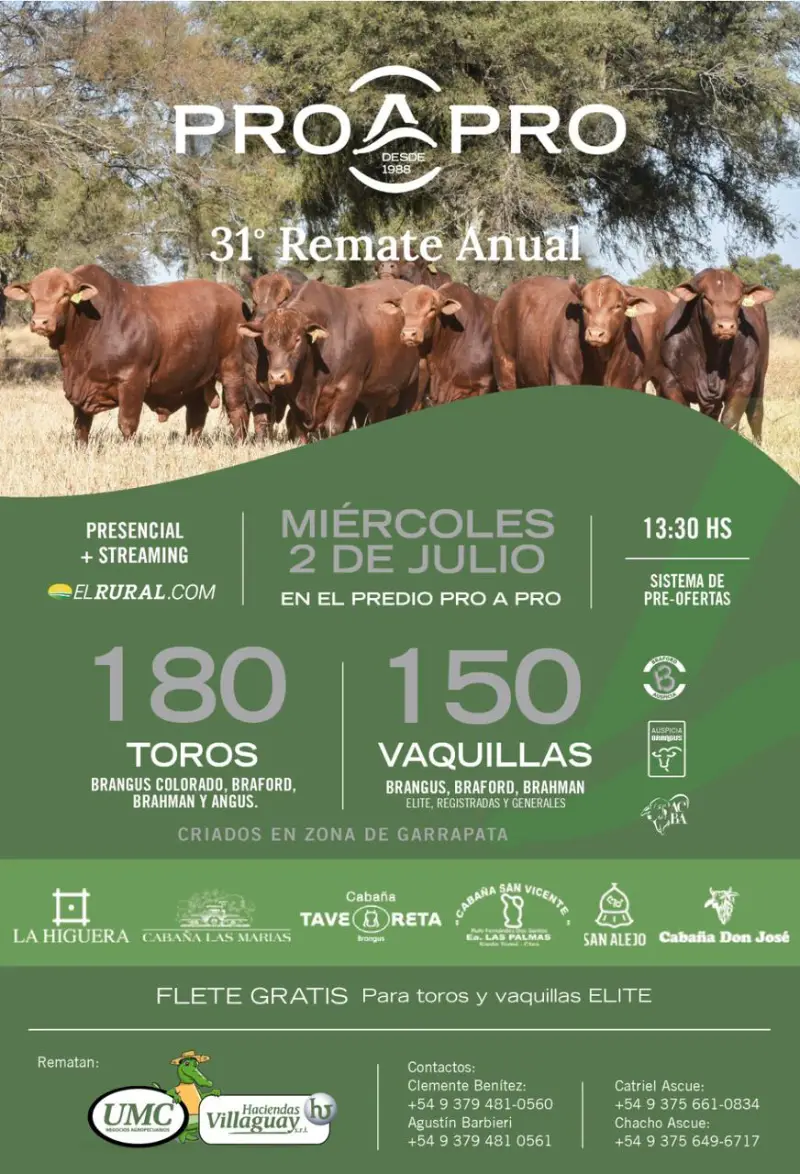 Remate Pro a Pro julio 2025