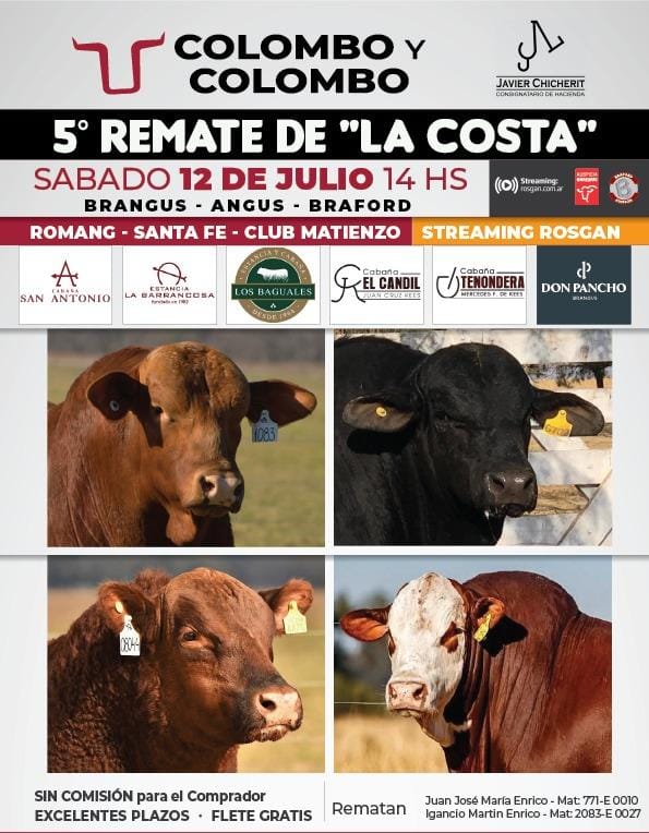 Remate de la Costa Don Pancho San Antonio, Sábado 12 de Julio 2025