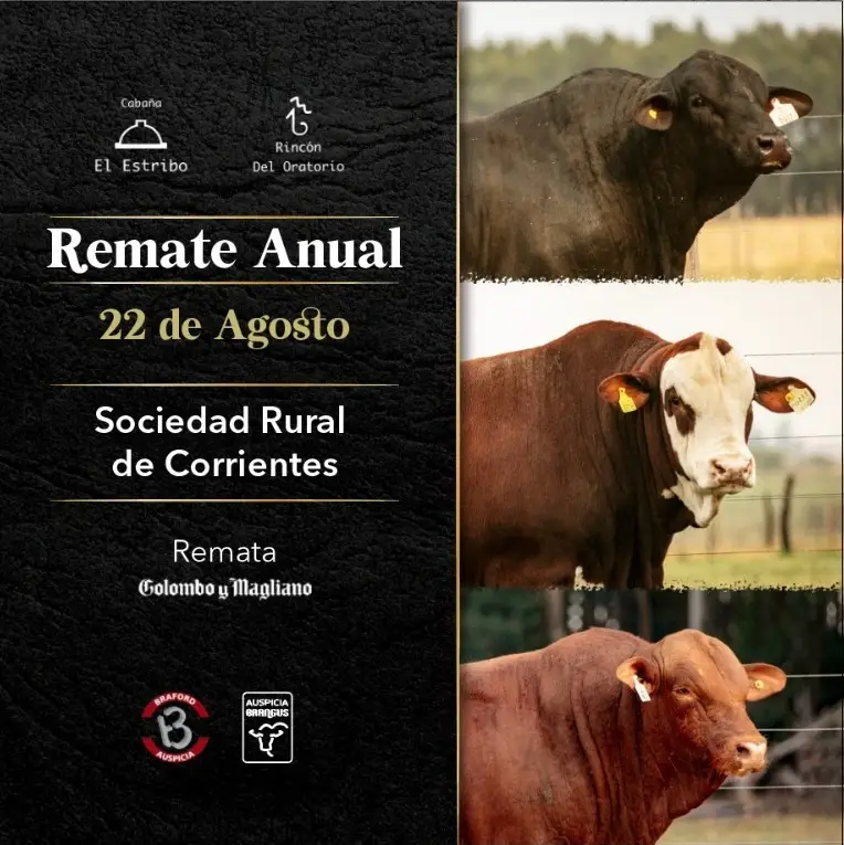 Rincón del Oratorio Viernes 22 de agosto 2025