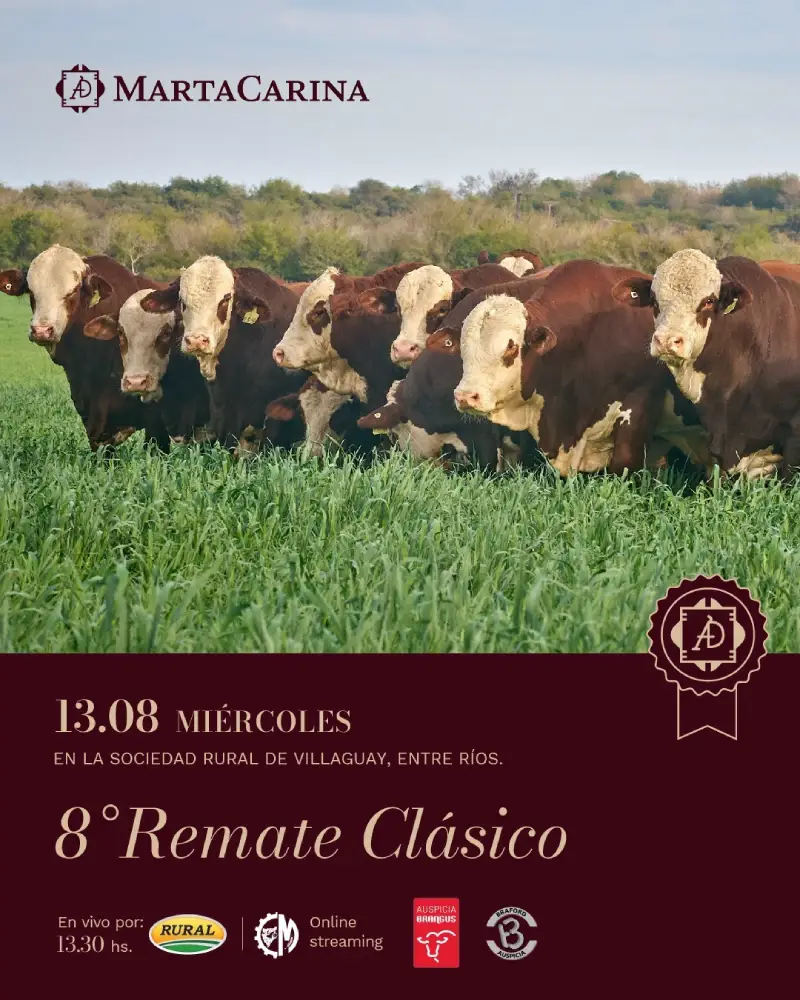 MARTA CARINA REMATE MIERCOLES 13 DE AGOSTO 2025