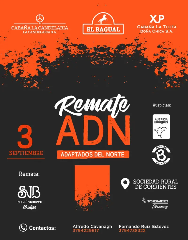 Remate Brangus Adaptados del Norte 3 de septiembre 2025