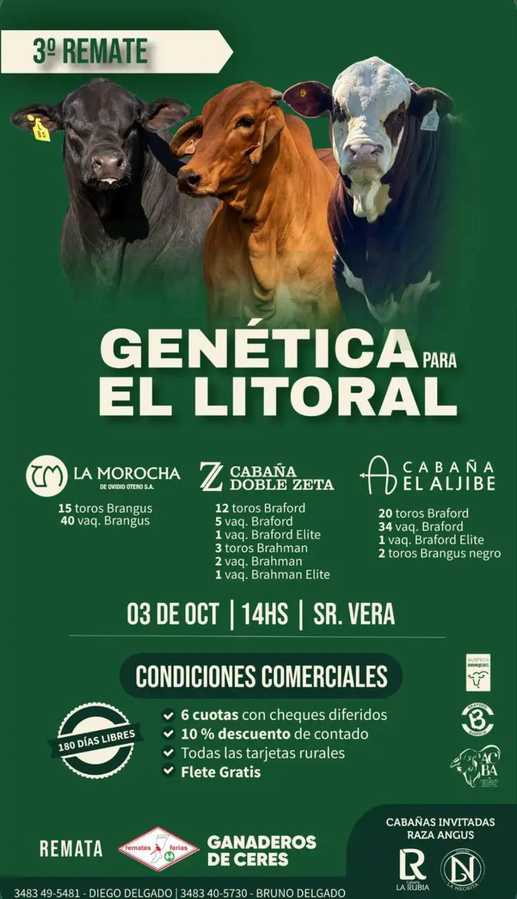 Remate Brangus Genética del Litoral Viernes 3 de octubre 2025