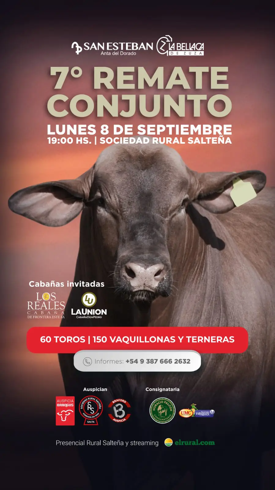 La Bellaca lunes 8 de septiembre 2025