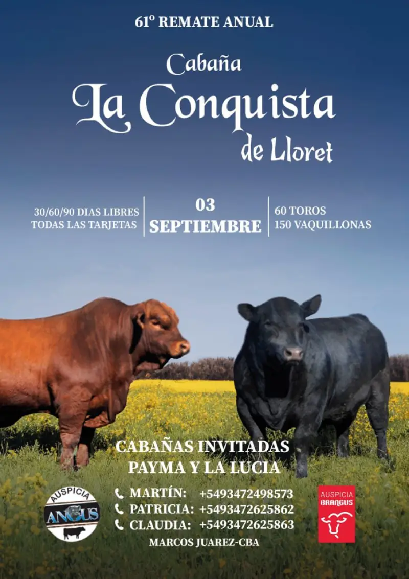 Cabaña La Conquista, miércoles 3 de septiembre 2025