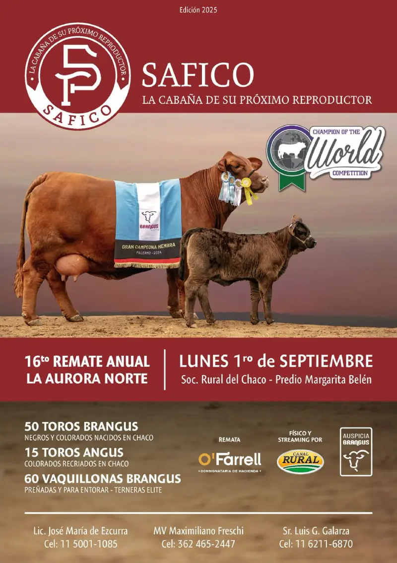 SAFICO lunes 1 de Septiembre 2025