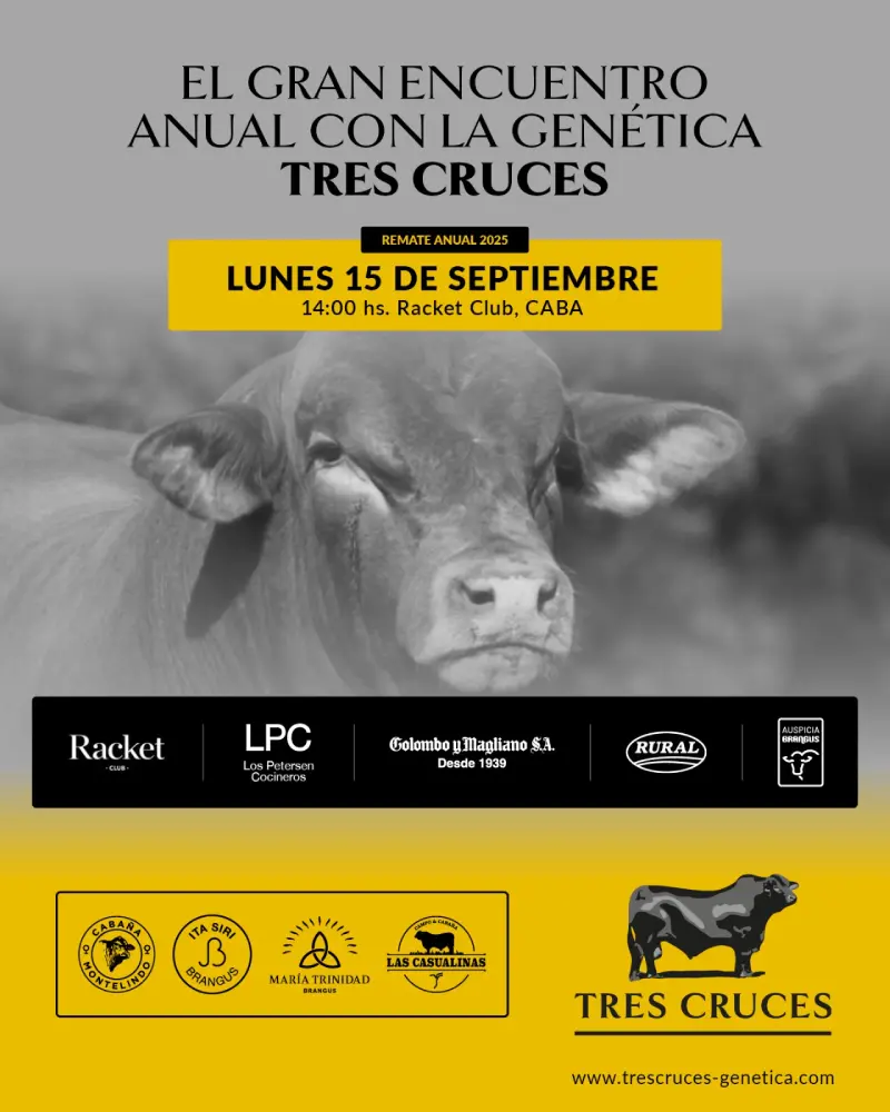 Tres Cruces 15 de septiembre 2025