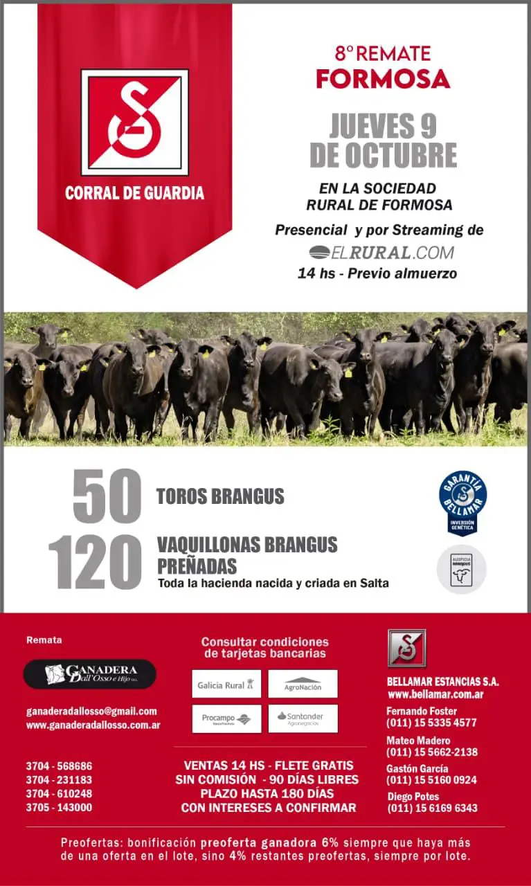 Corral de Guardia jueves 9 de octubre 2025