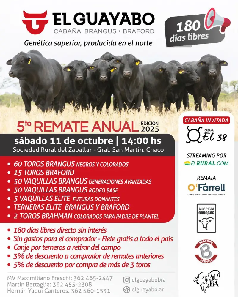 El Guayabo Sábado 11 de octubre 2025
