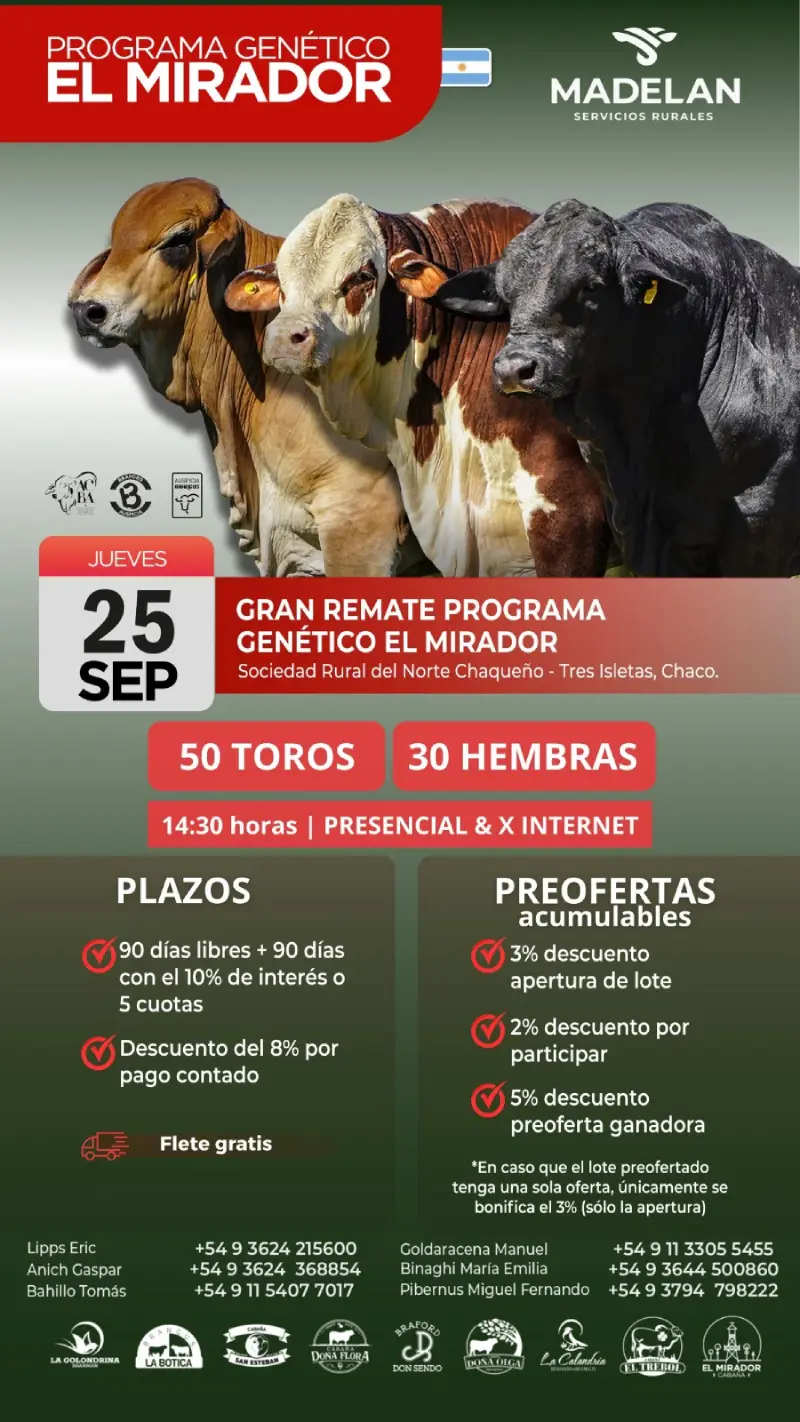El Mirador 25 de septiembre 2025