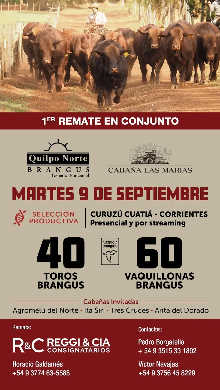 Martes 9 de septiembre 2025 Quilpo Norte