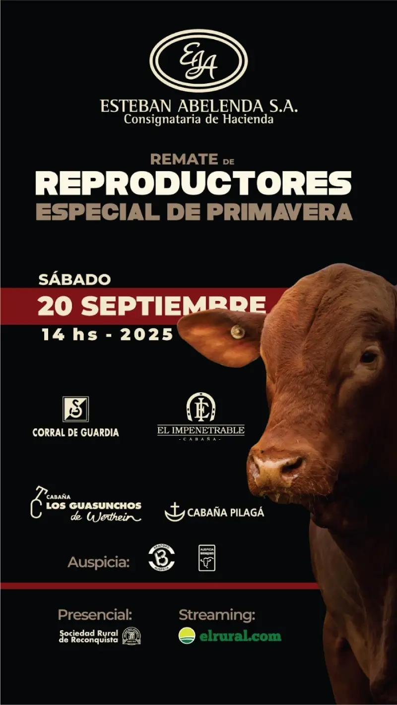 Reproductores especial de primavera 20 de septiembre 2025