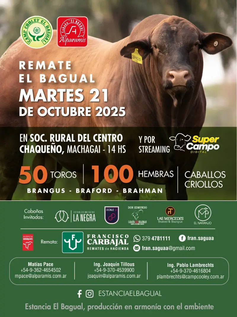El Bagual martes 21 de octubre 2025