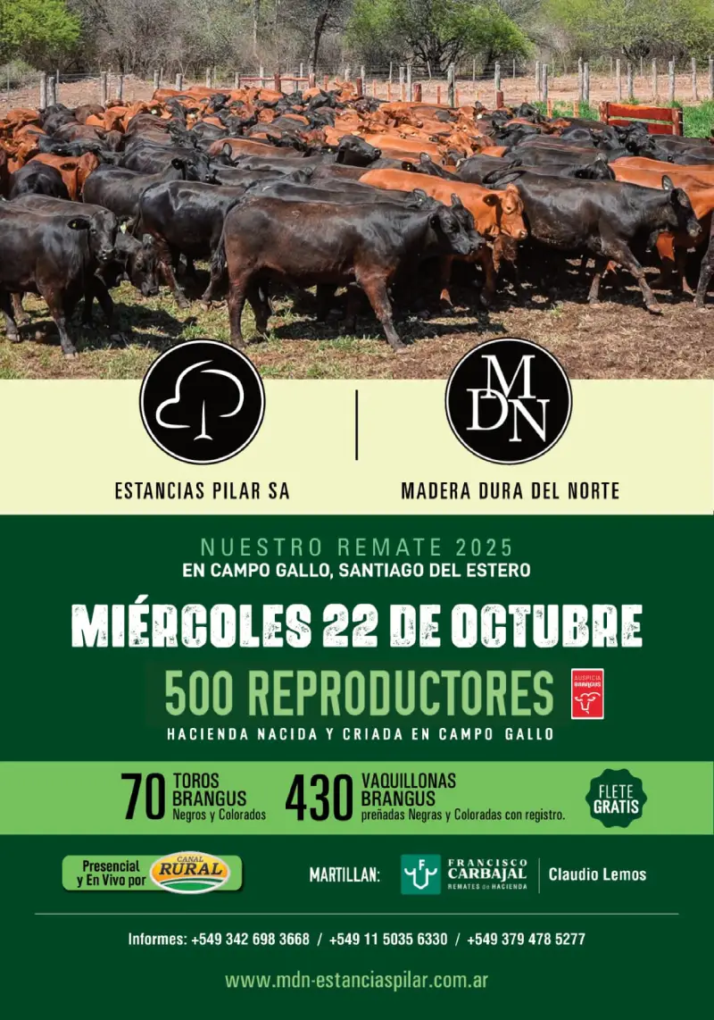 Madera Dura del Norte miércoles 22 de octubre 2025
