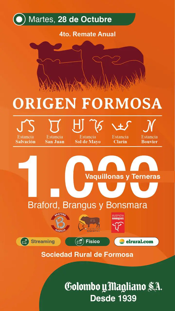 Remate Brangus Origen Formosa martes 28 de 2025