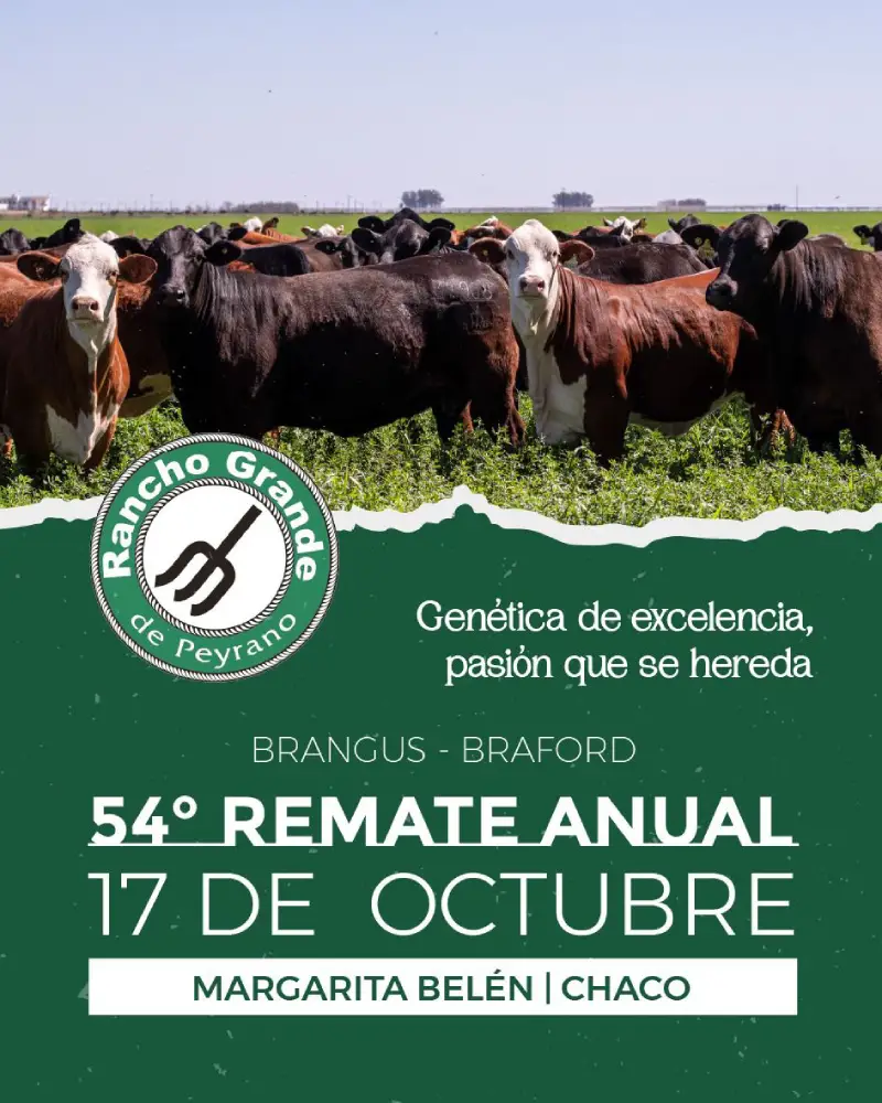 RANCHO GRANDE 17 DE OCTUBRE 2025
