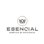 Esencial