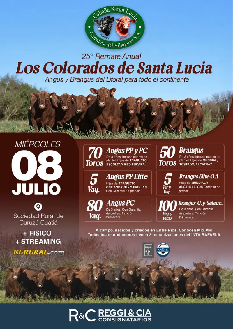 08 DE JULIO 2026 LOS COLORADOS DE SANTA LUCIA