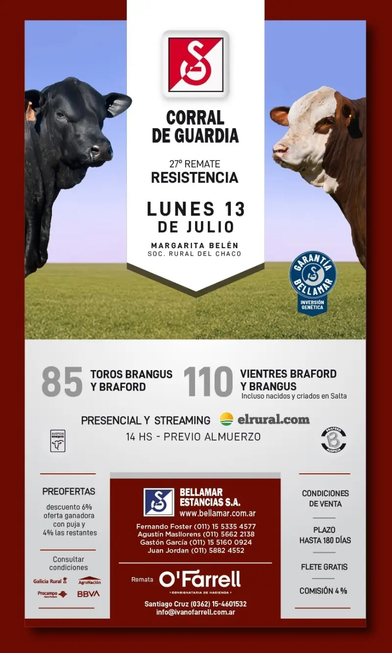 Corral de Guardia Remate Brangus 13 de julio 2026
