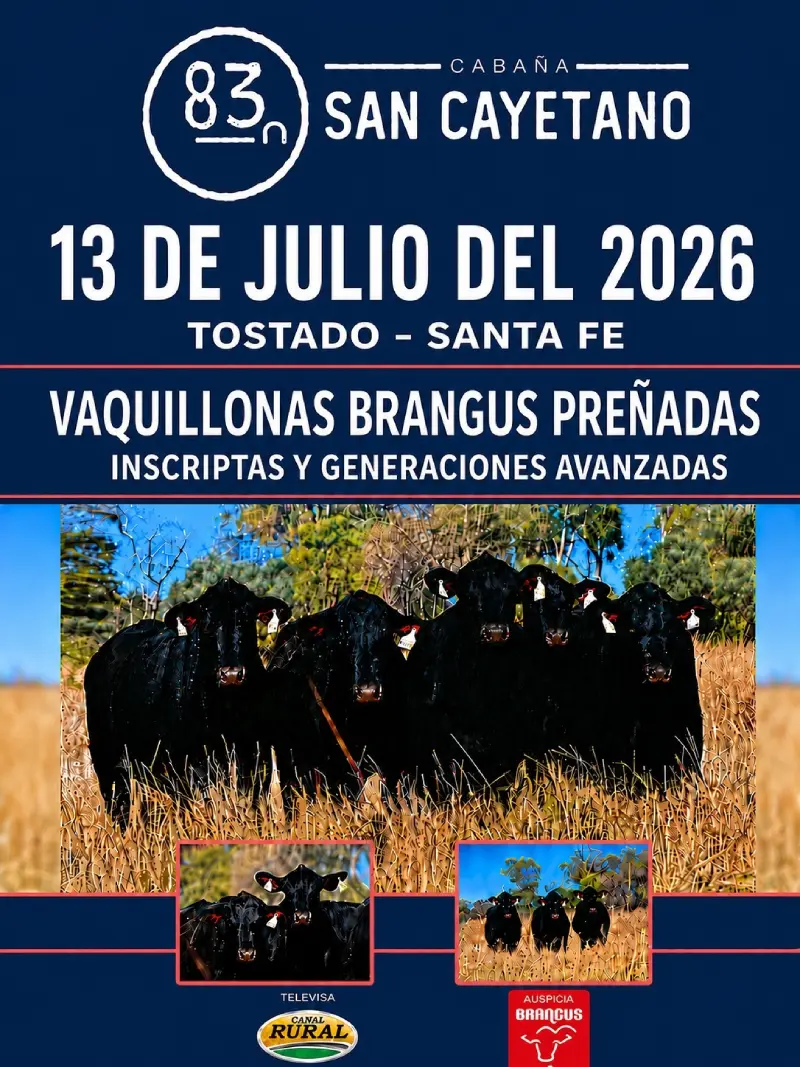 San Cayetano Remate Brangus 13 de julio 2026