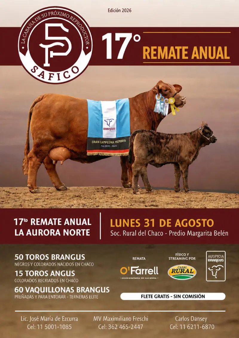 SAFICO Remate Brangus 31 de agosto 2026
