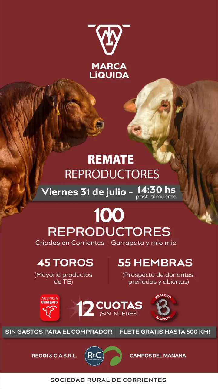 31 de julio 2026 Brangus Remate Marca Líquida