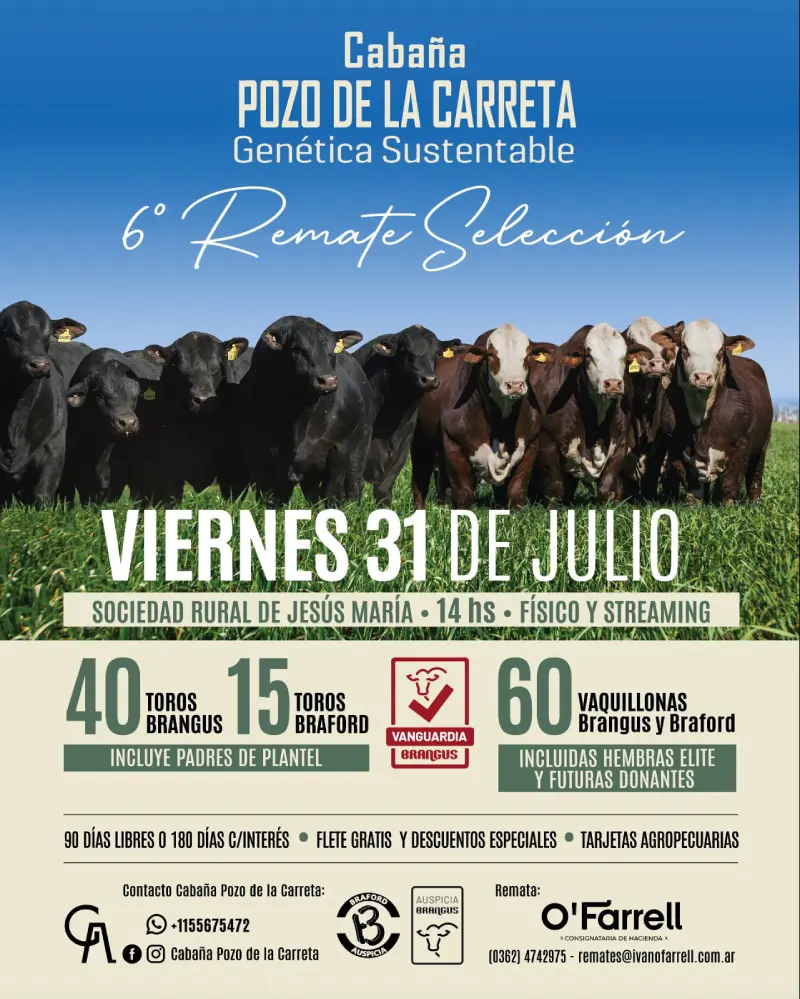 31 de julio 2026 - Pozo de la Carreta