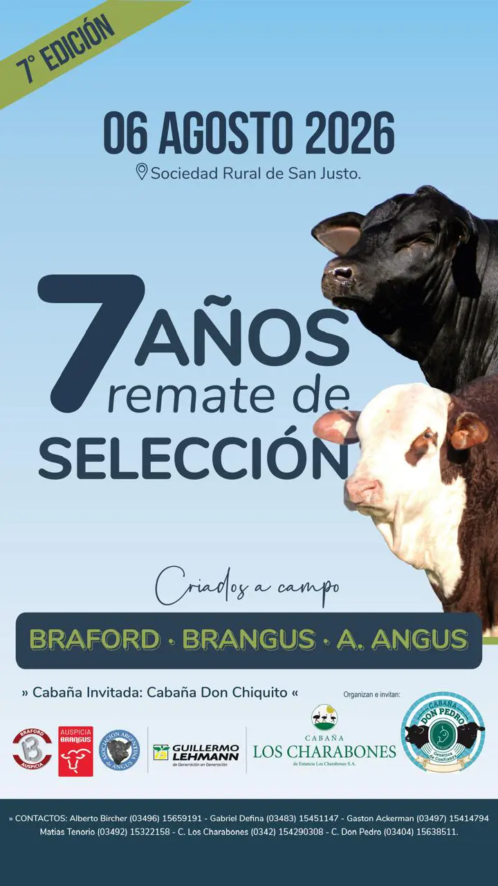 6 DE AGOSTO 2026 7 AÑOS REMATE DE SELECCIÓN