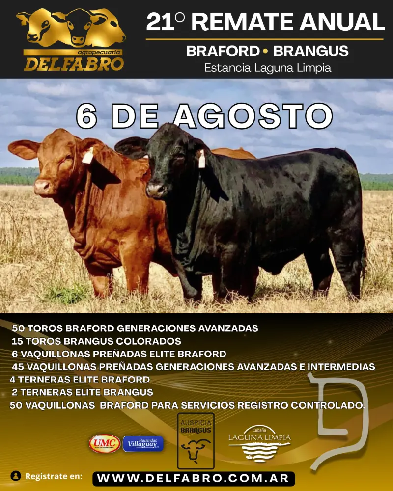 6 DE AGOSTO 2026 DELFABRO