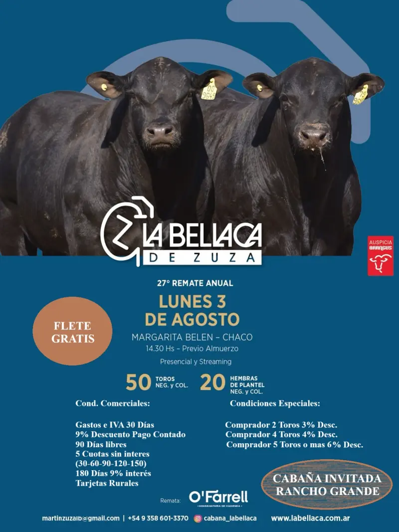 Lunes 3 de agosto 2026 La Bellaca