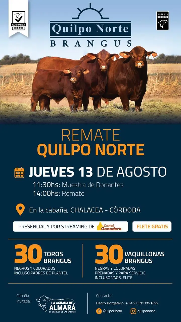 13 DE AGOSTO 2026 QUILPO NORTE