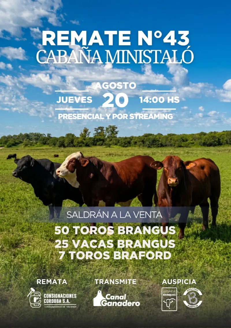 20 de agosto 2026 Remate Cabaña Ministaló