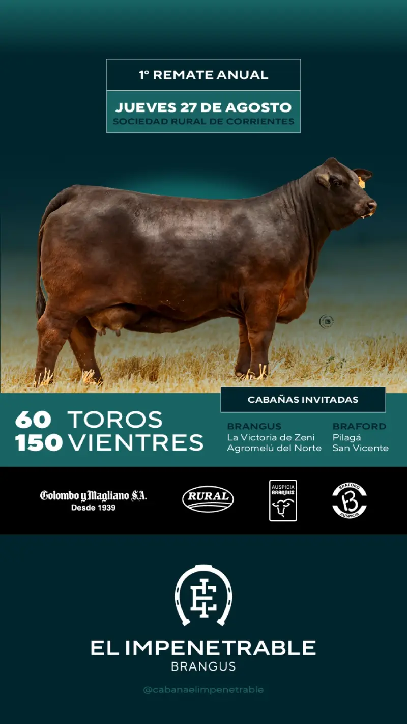 27 de agosto 2026 1er Remate anual Zeni Agromelu del Norte