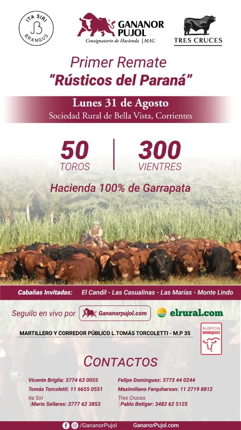 31 de agosto 2026 Rústicos del Paraná